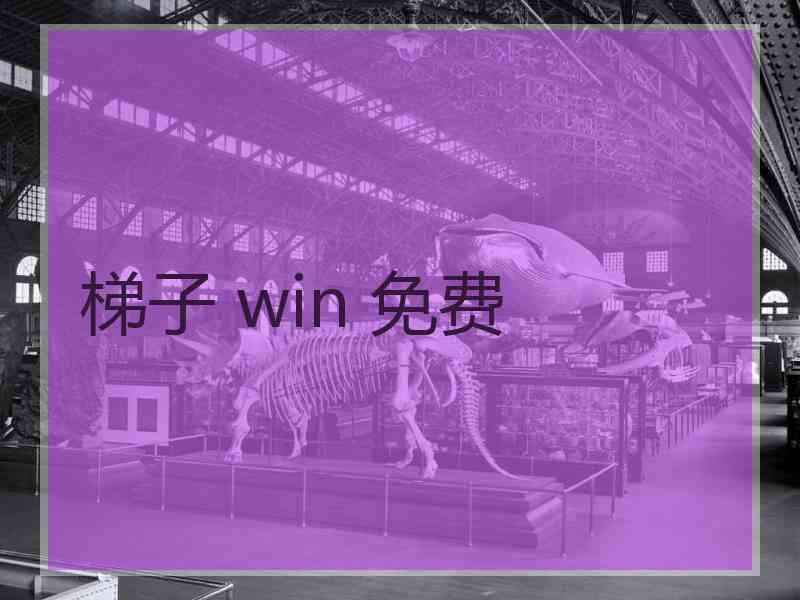 梯子 win 免费
