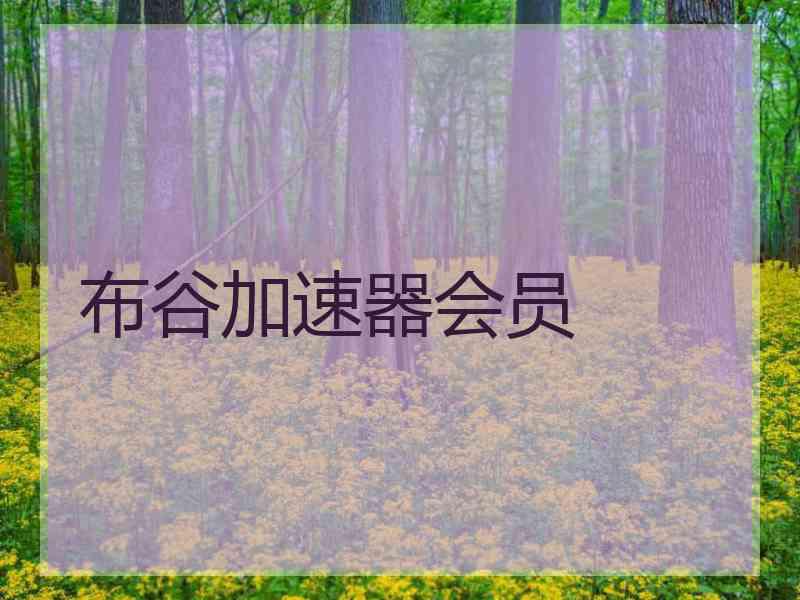 布谷加速器会员