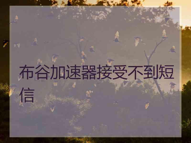 布谷加速器接受不到短信