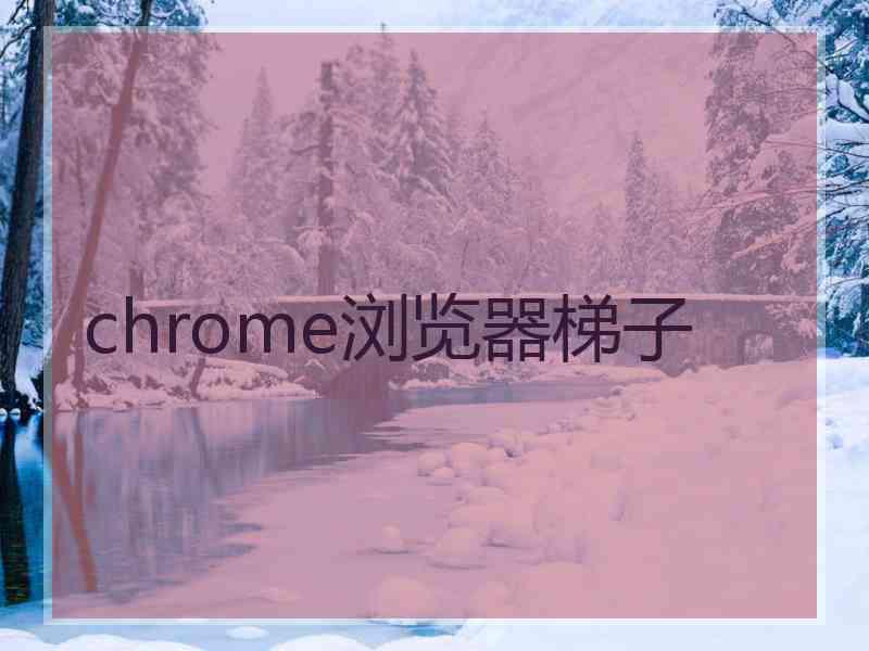 chrome浏览器梯子