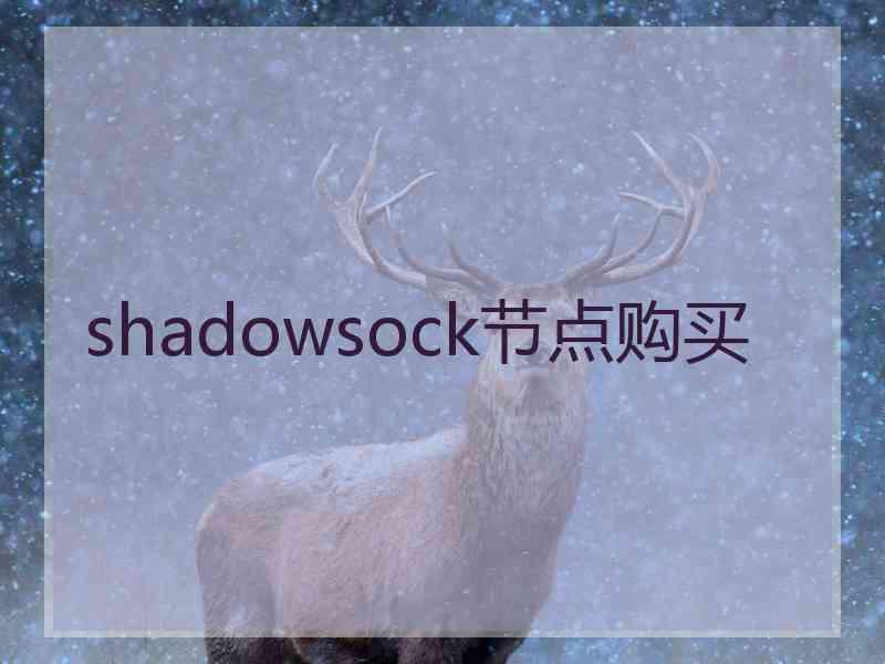 shadowsock节点购买