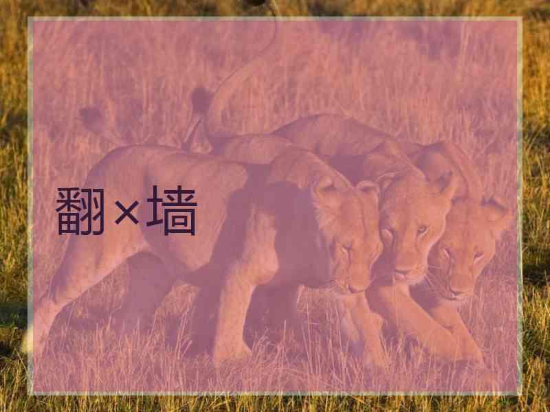 翻×墙