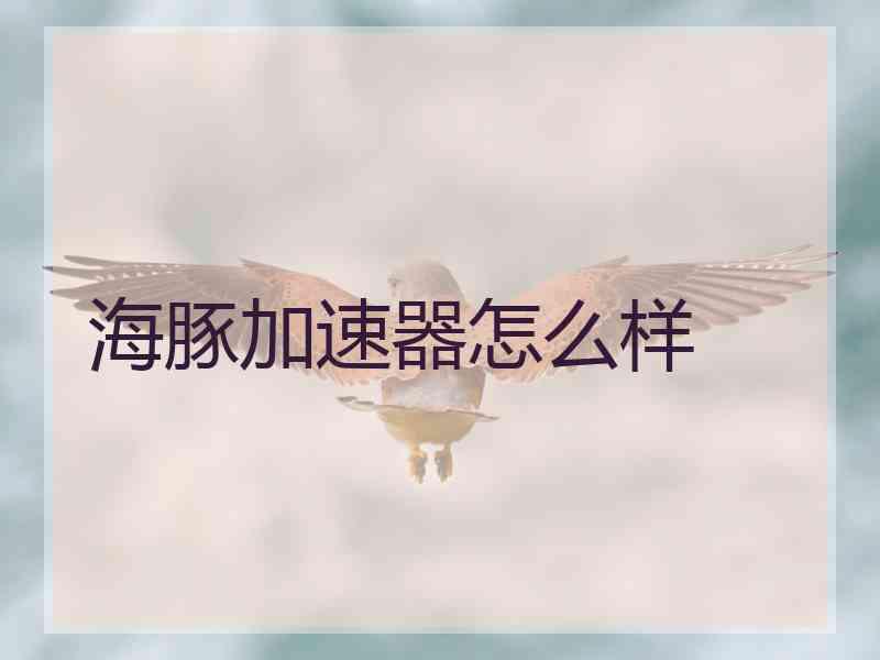 海豚加速器怎么样