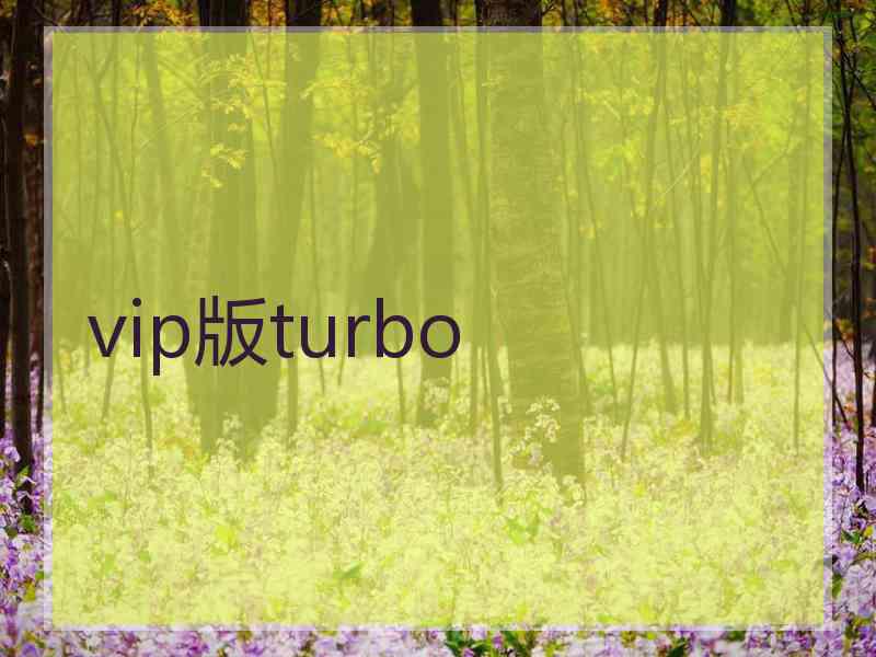 vip版turbo