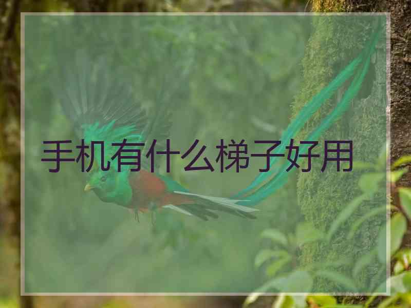 手机有什么梯子好用