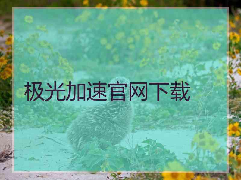 极光加速官网下载