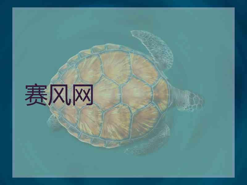 赛风网