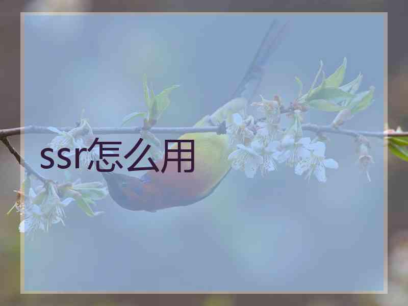 ssr怎么用
