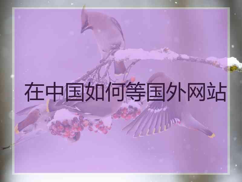 在中国如何等国外网站