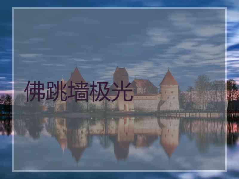 佛跳墙极光