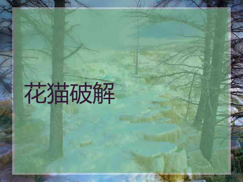 花猫破解