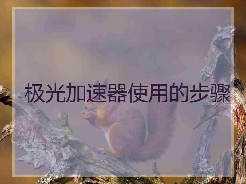 极光加速器使用的步骤