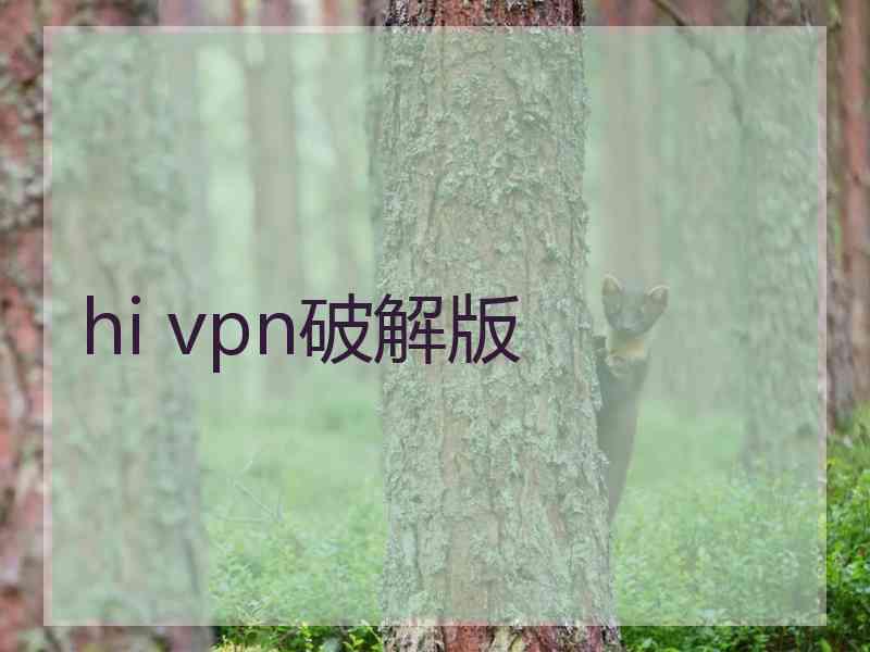 hi vpn破解版