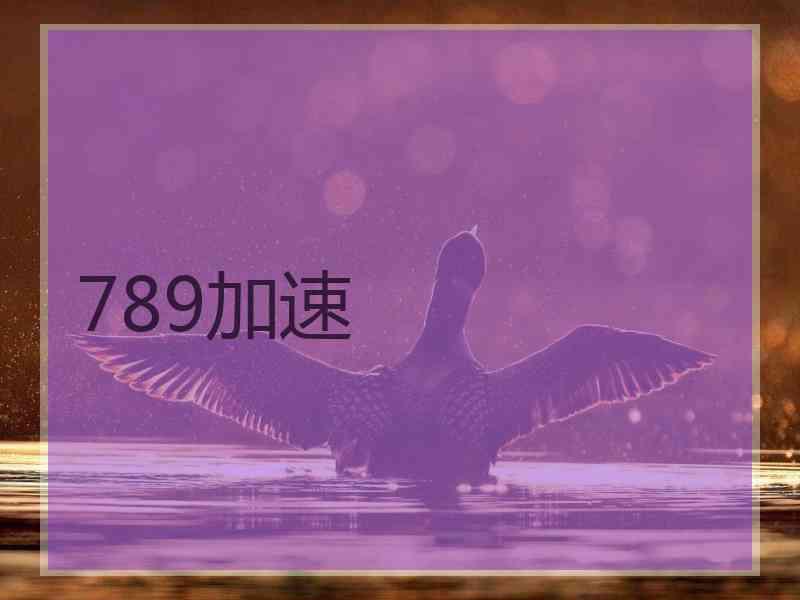 789加速