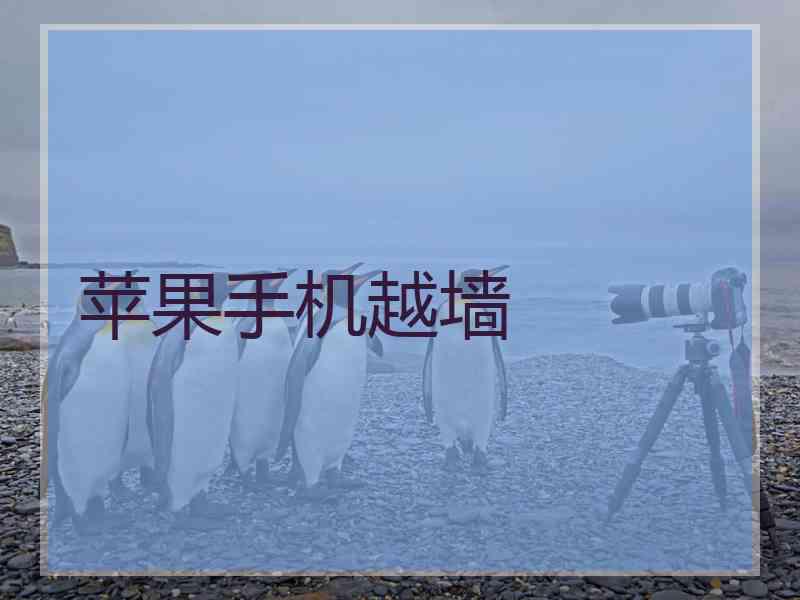 苹果手机越墙