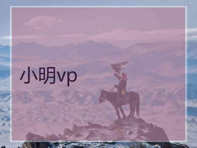 小明vp