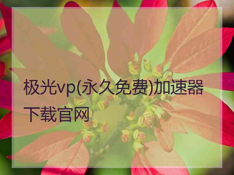 极光vp(永久免费)加速器下载官网