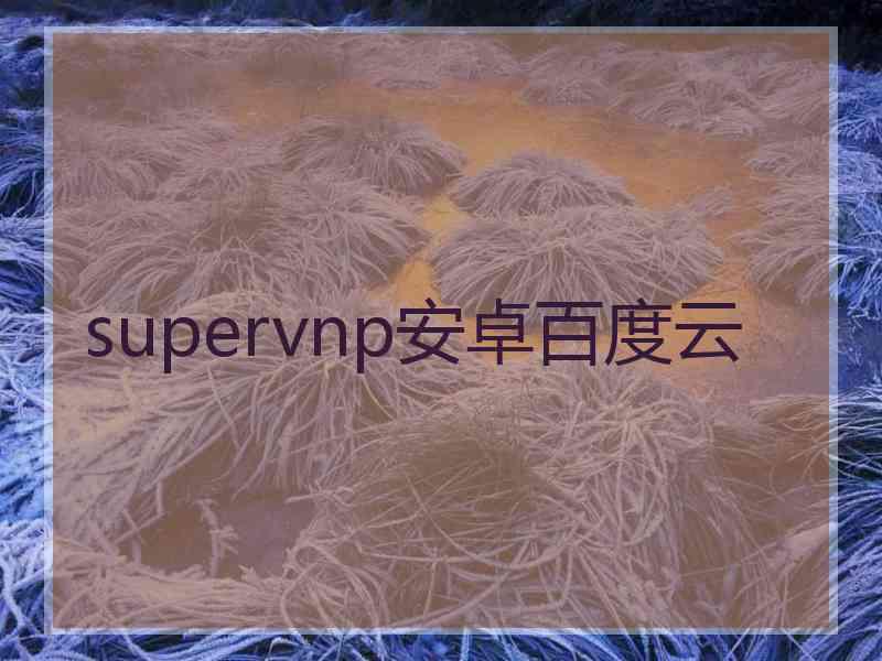 supervnp安卓百度云