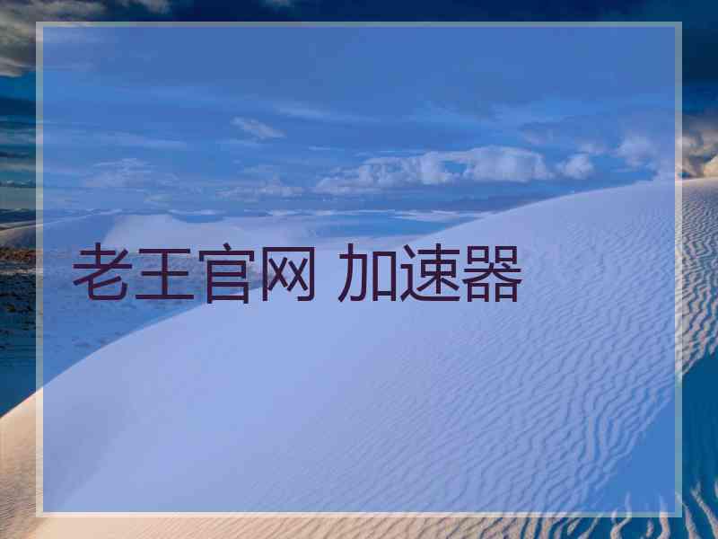老王官网 加速器