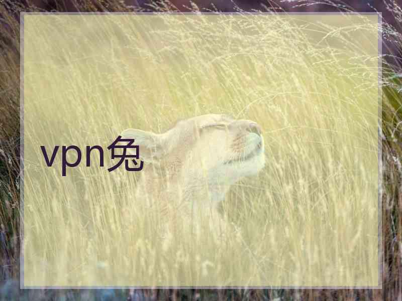 vpn兔