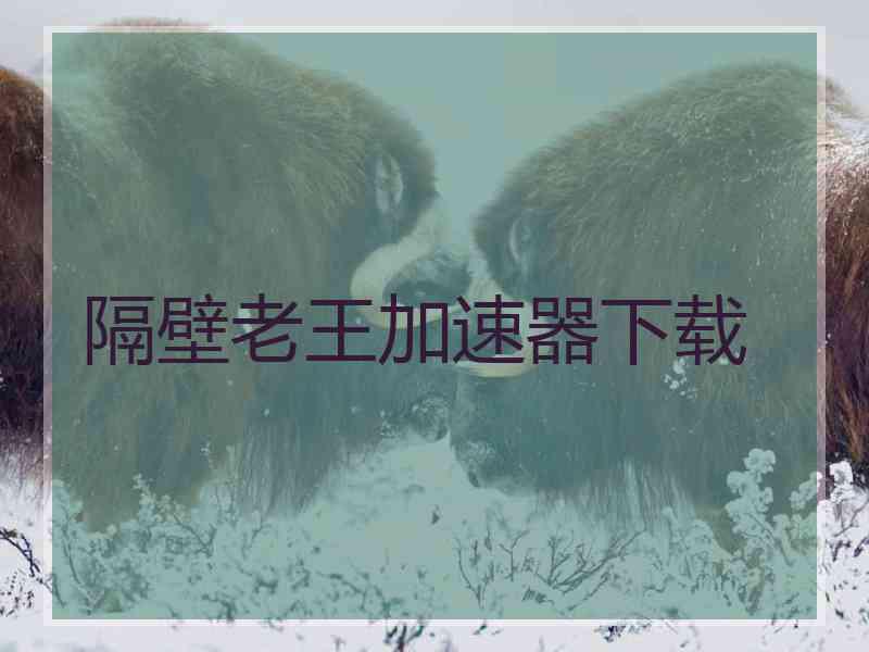 隔壁老王加速器下载