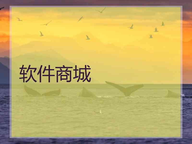 软件商城