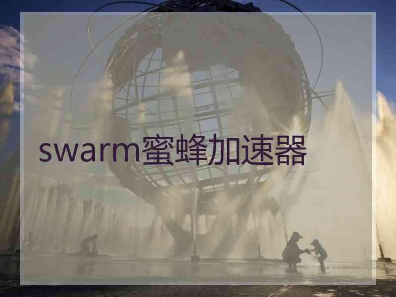 swarm蜜蜂加速器