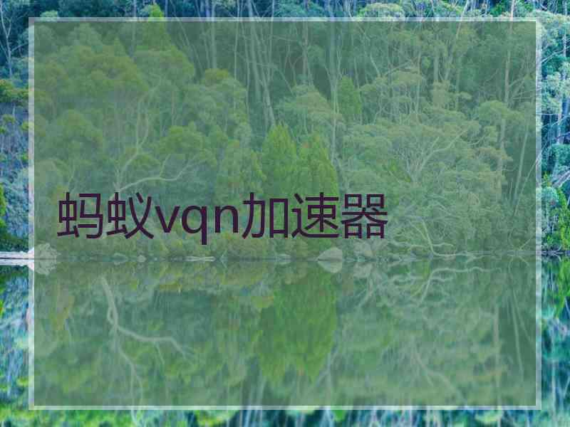 蚂蚁vqn加速器