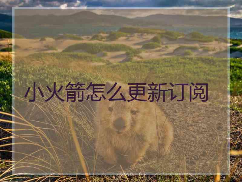 小火箭怎么更新订阅