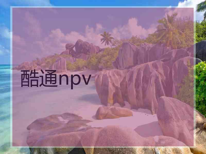 酷通npv