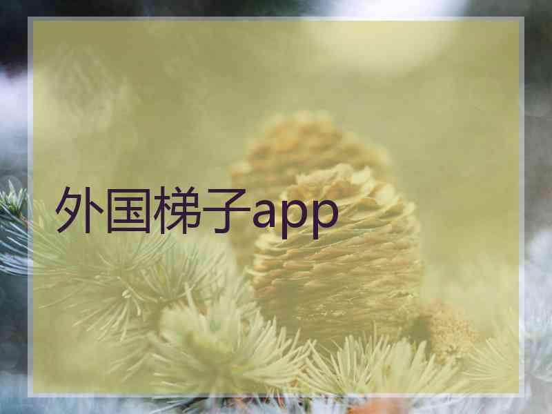 外国梯子app