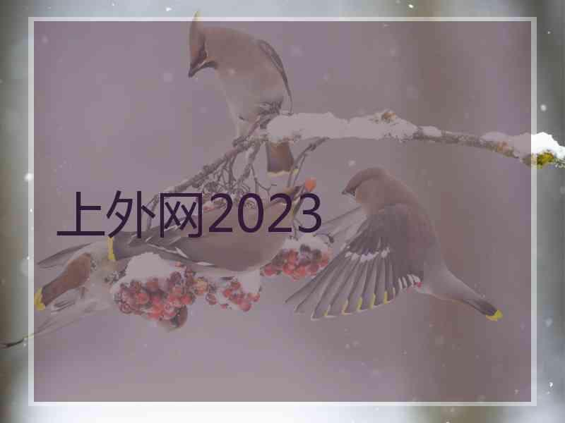 上外网2023