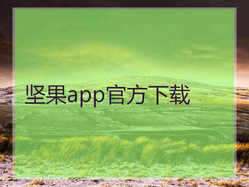 坚果app官方下载