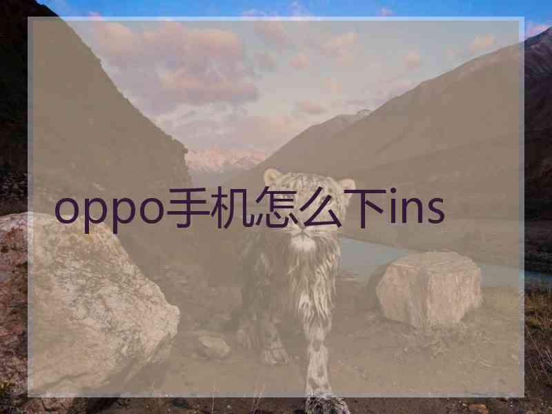 oppo手机怎么下ins
