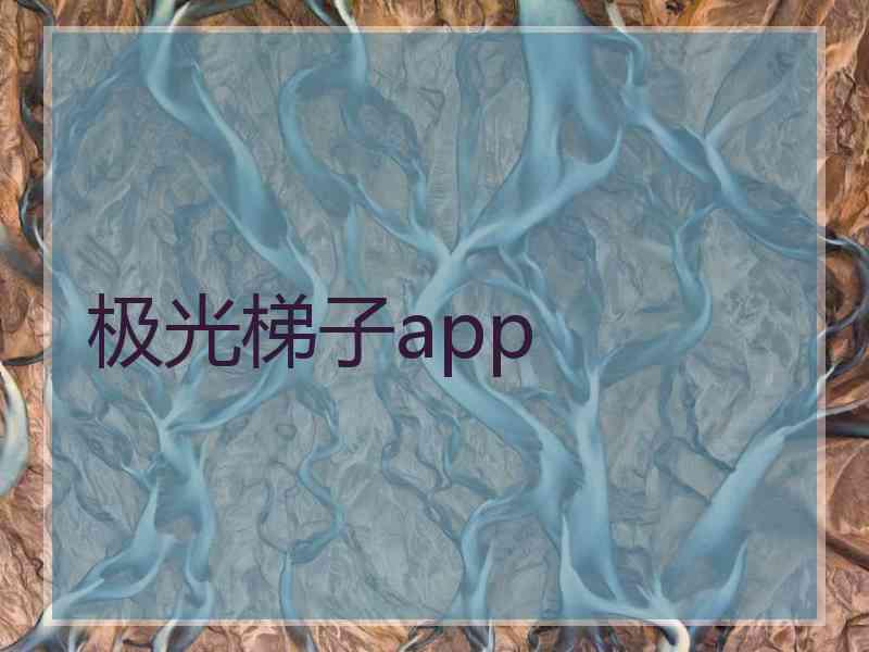 极光梯子app