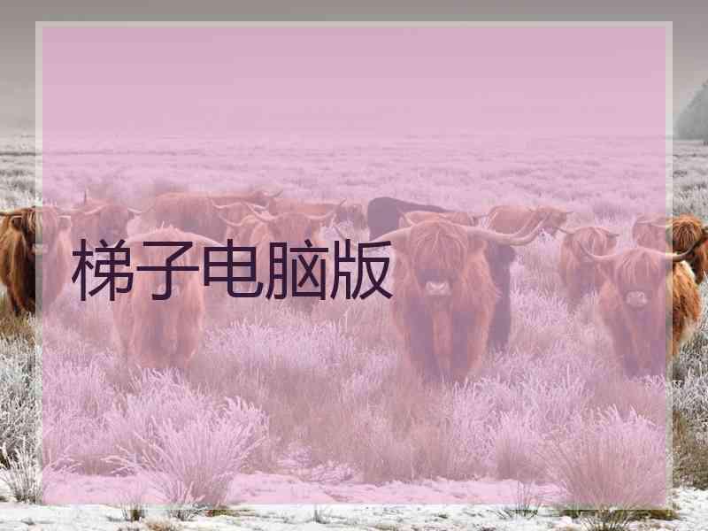 梯子电脑版