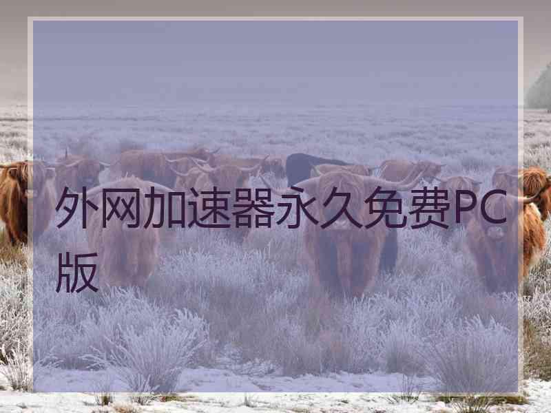 外网加速器永久免费PC版
