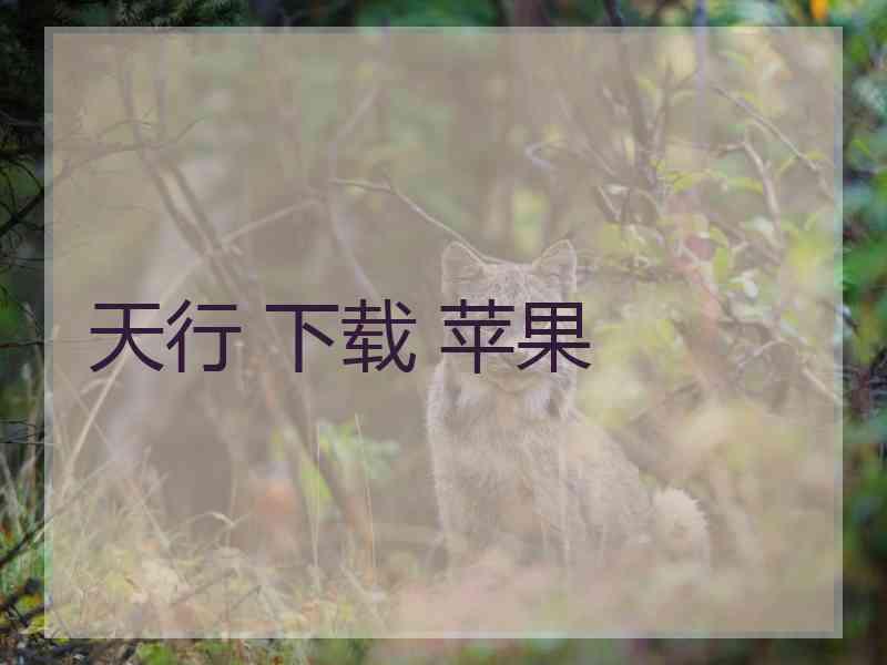 天行 下载 苹果