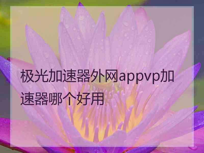 极光加速器外网appvp加速器哪个好用