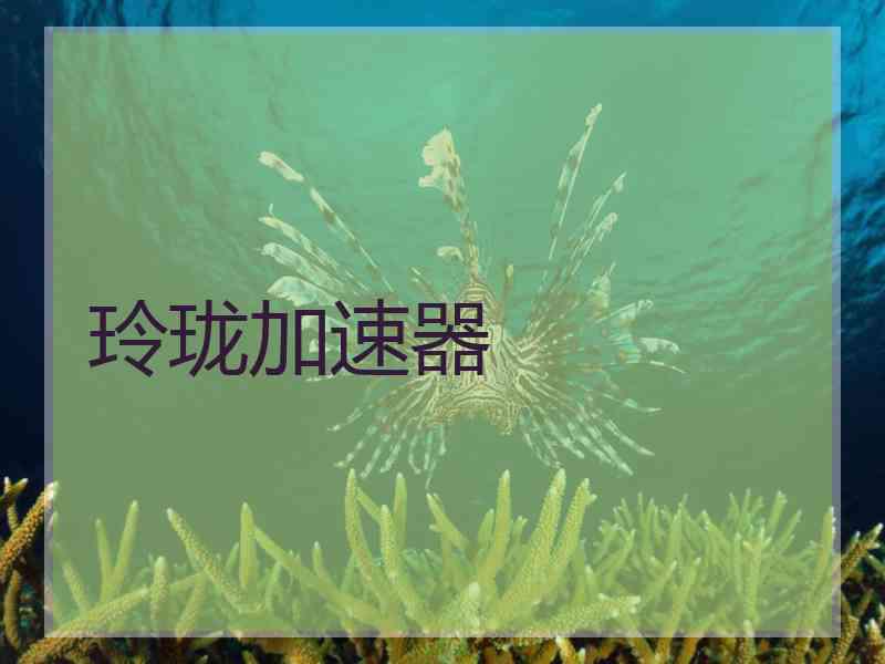 玲珑加速器