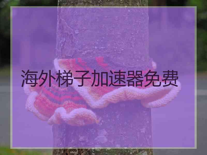 海外梯子加速器免费