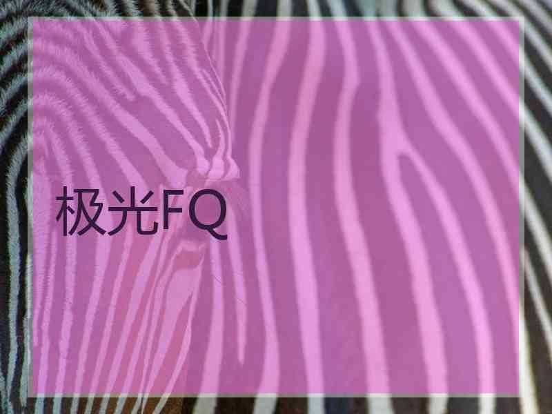 极光FQ