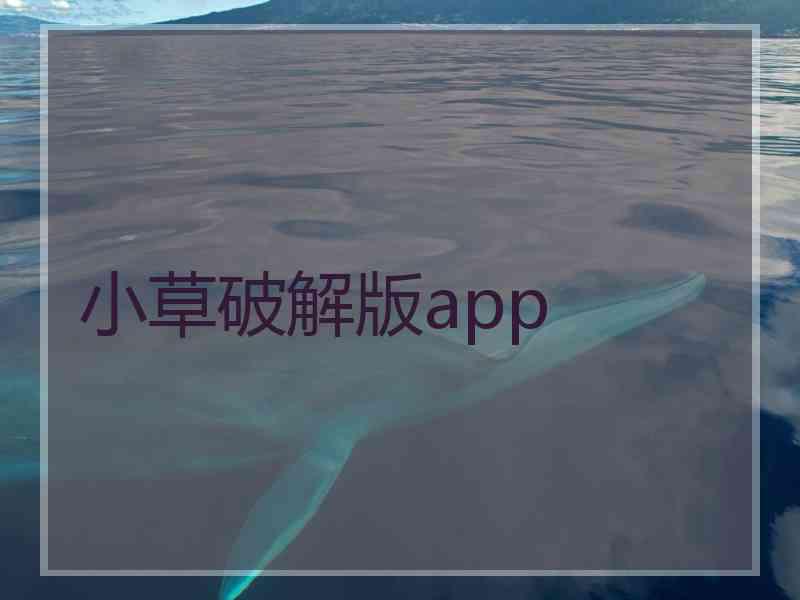 小草破解版app