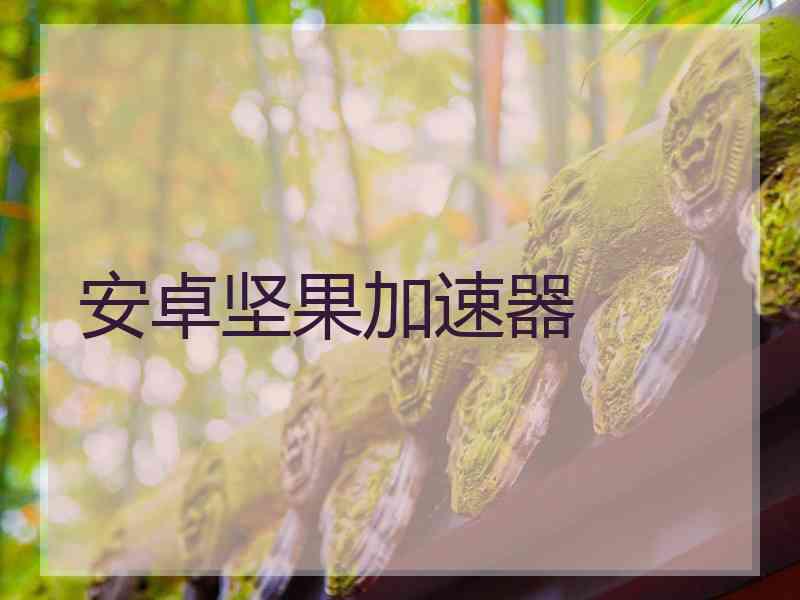 安卓坚果加速器