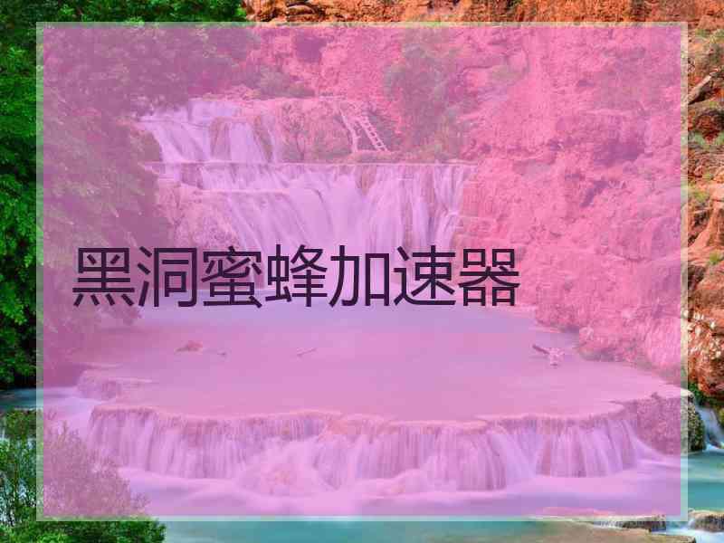 黑洞蜜蜂加速器