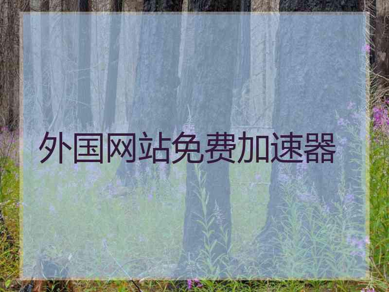 外国网站免费加速器