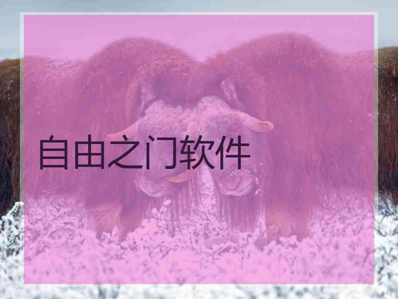 自由之门软件