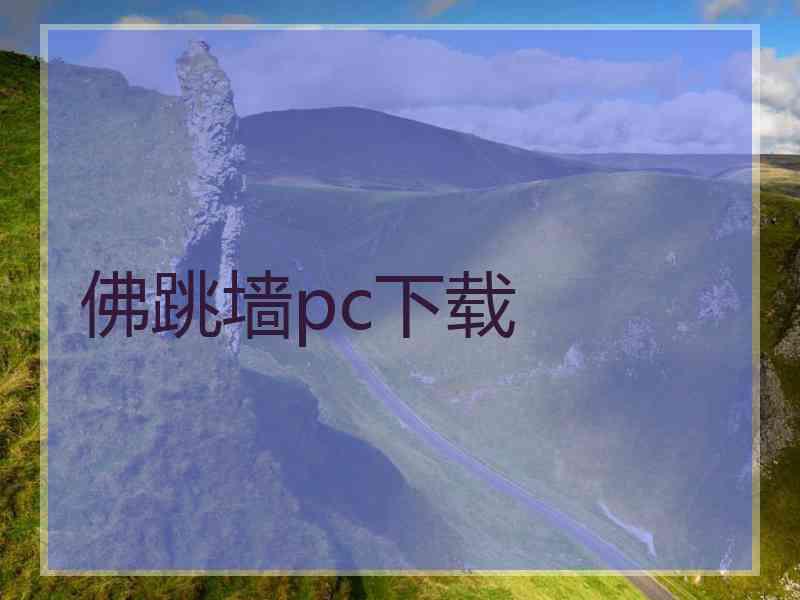 佛跳墙pc下载