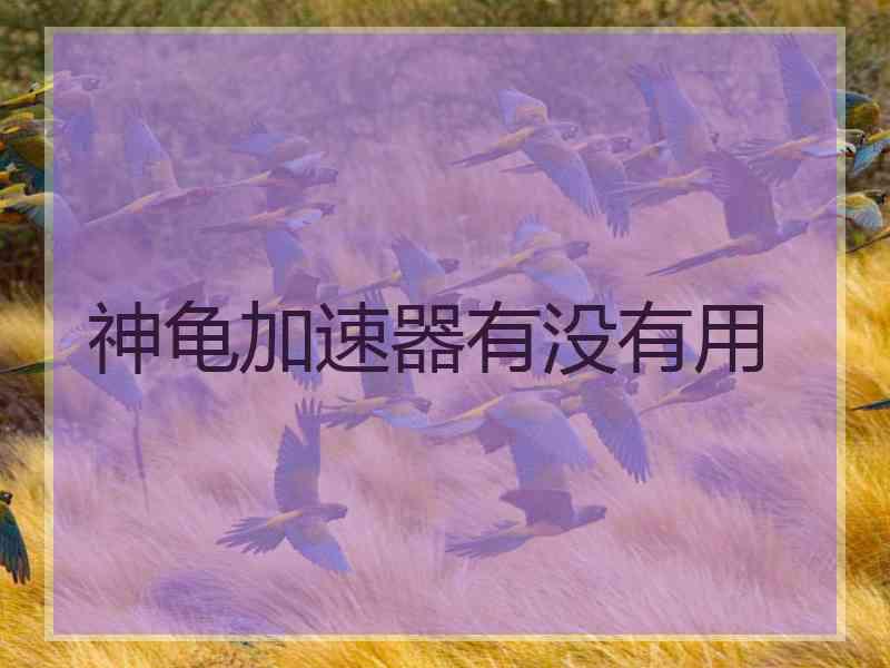 神龟加速器有没有用