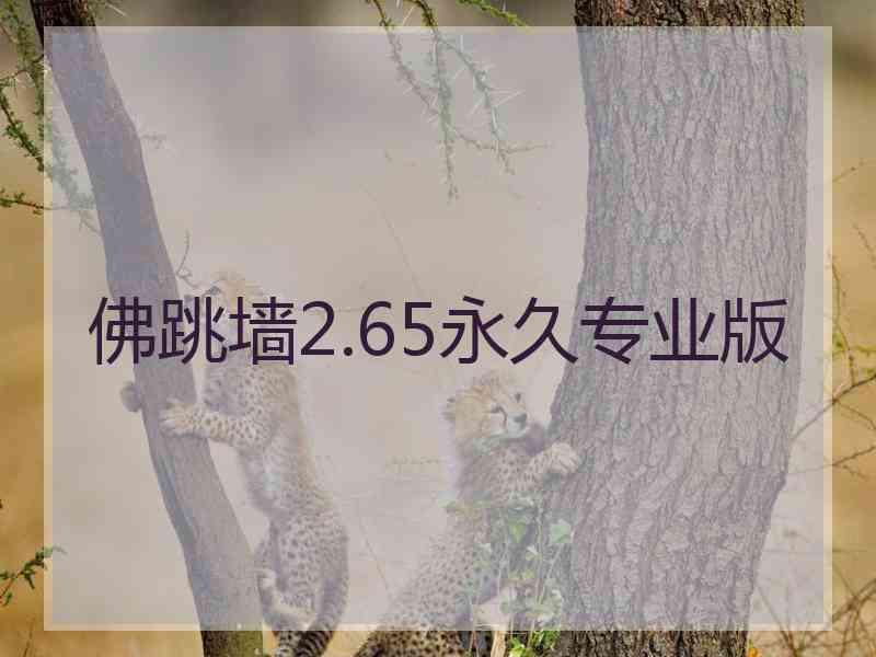 佛跳墙2.65永久专业版